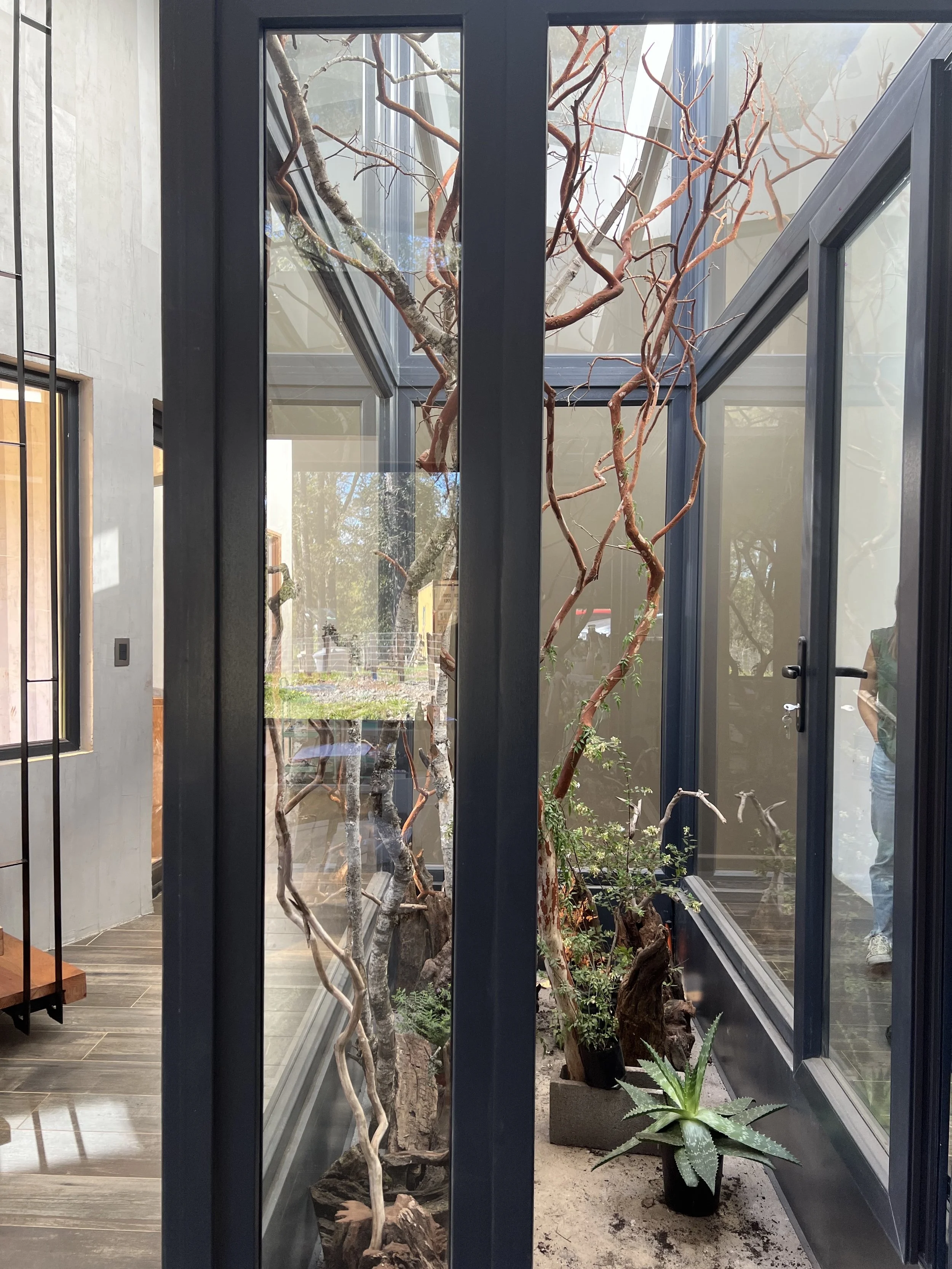 Plantas de interior